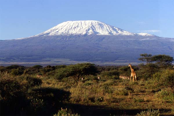 http://junglephotos.com/africa/afscenery/mountains/kilimanjaro.jpg