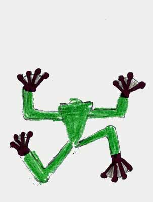 tree drawings for kids. tree frog drawing