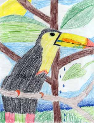 tree drawings for kids. toucan in tree drawing