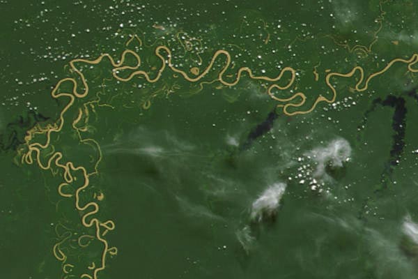 Rio Purus satellite image