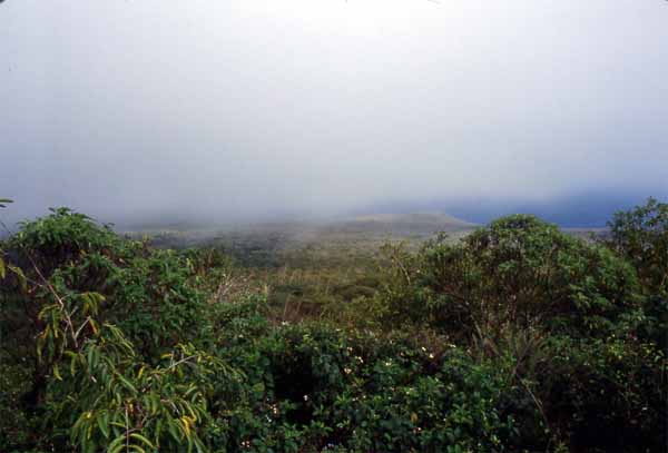 Photo of garua mist