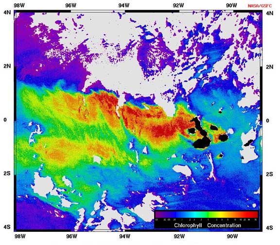 satellite image of phytoplankton plume