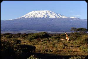 Photo of Kilimanjaro, East Africa